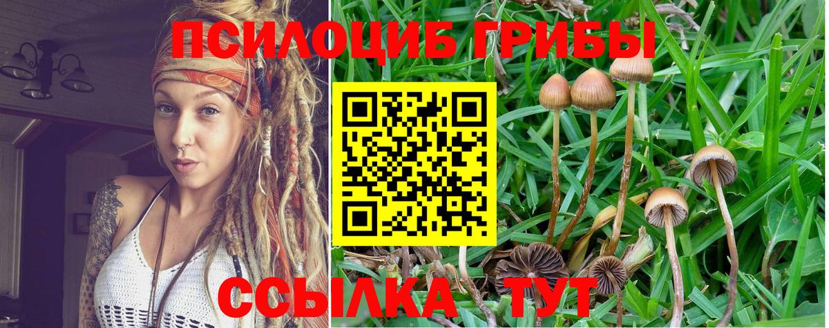 Галлюциногенные грибы GOLDEN TEACHER Йошкар-Ола