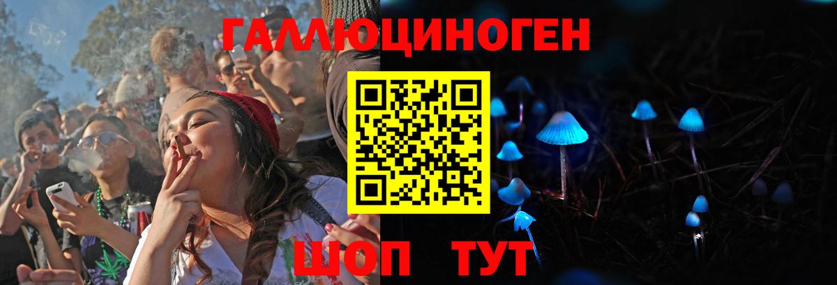 Йошкар-Ола  Псилоцибиновые грибы Psilocybe  Вход с VPN 